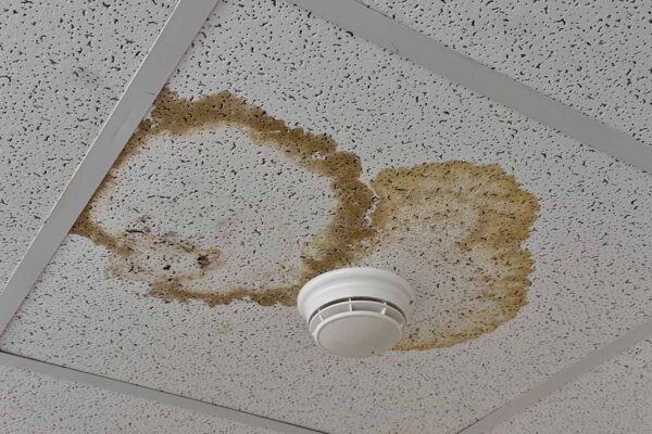 Replacement Ceiling Tiles