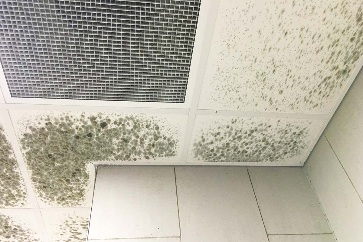 When to Replace Ceiling Tiles